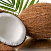 NATURAL coconut fiber